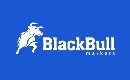 BlackBull Markets logo