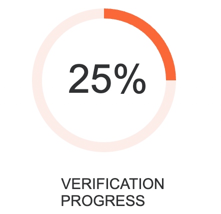 Account verification progress display