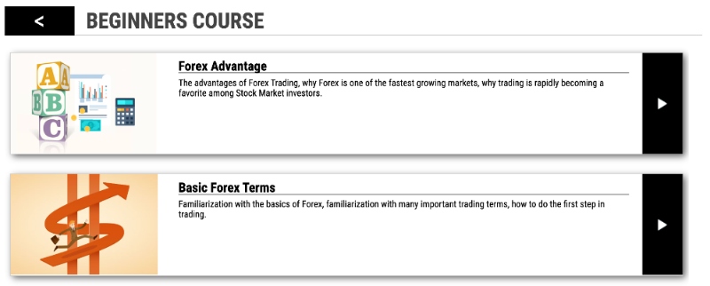 Beginner trading course syllabus at LQDFX